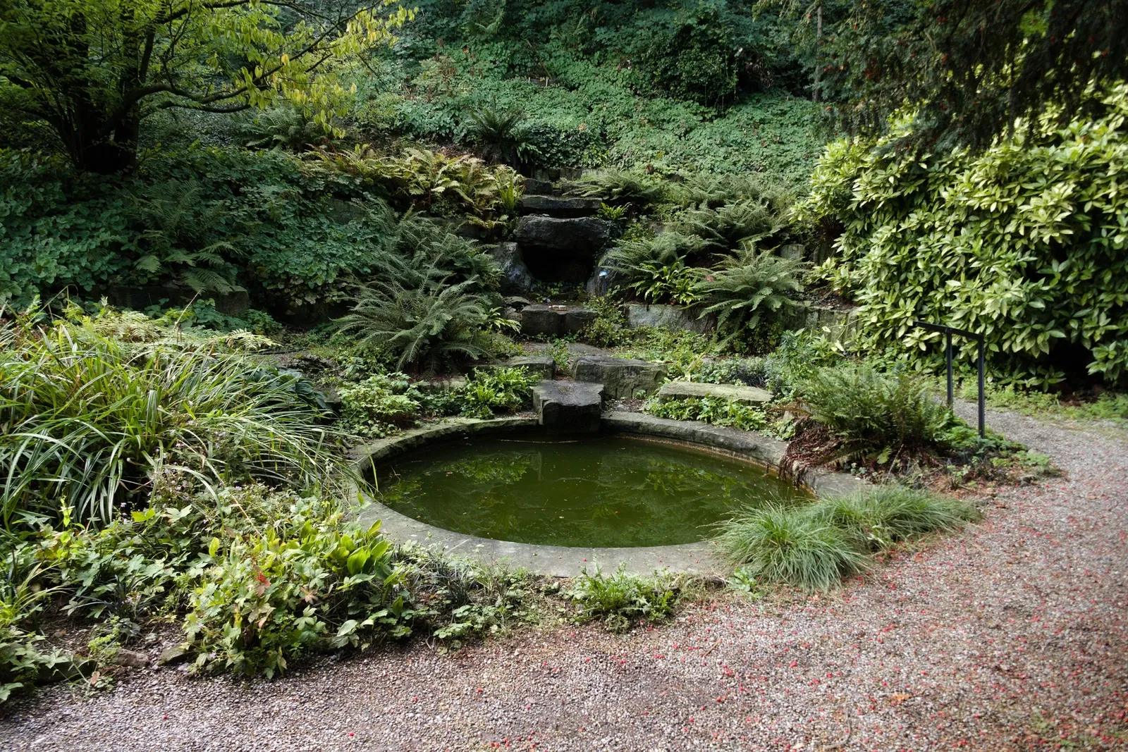 Jardin botanique de Zurich