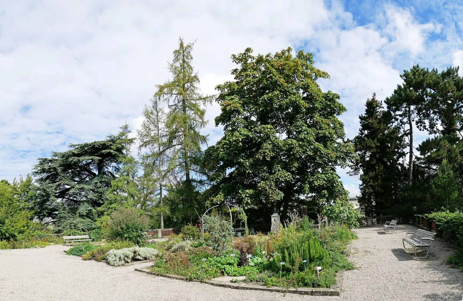 Old Botanical Garden