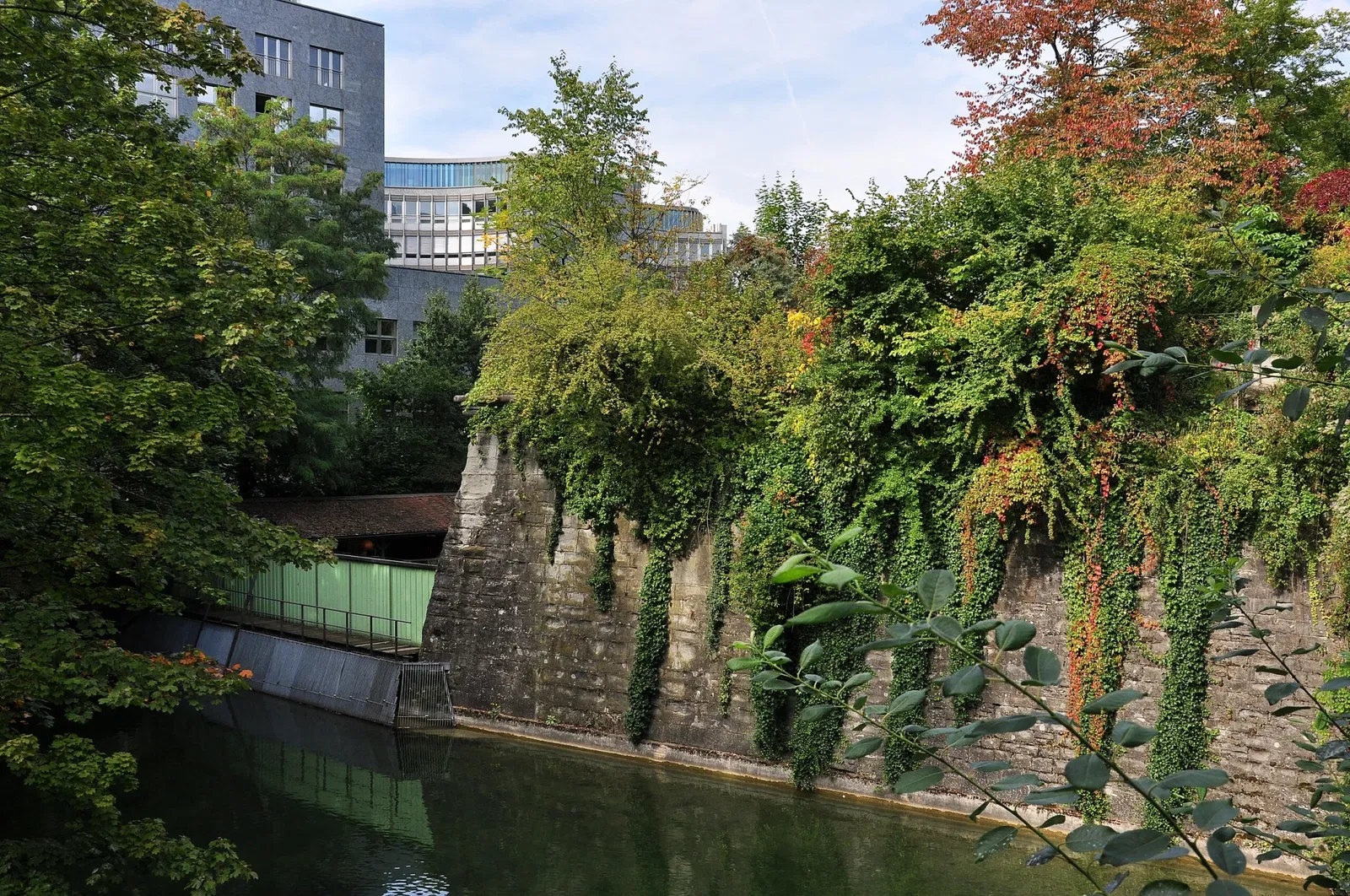 Alter Botanischer Garten