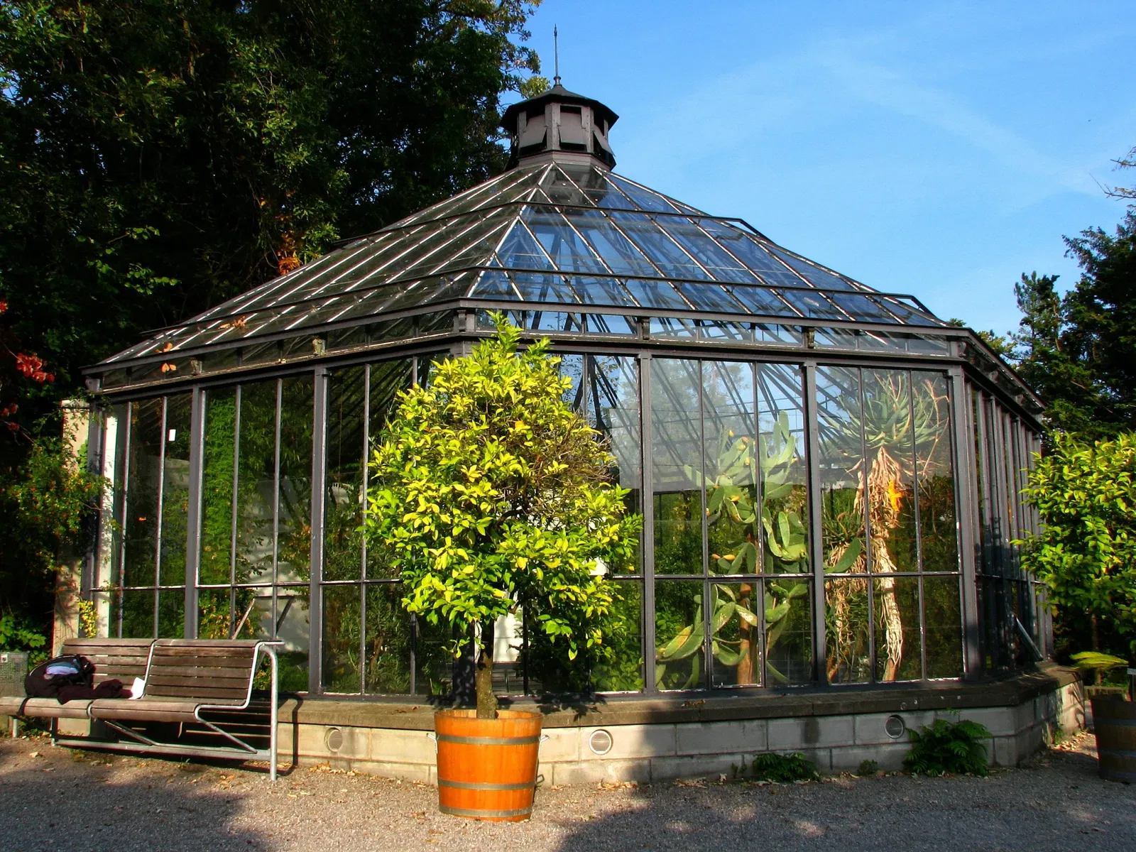Old Botanical Garden