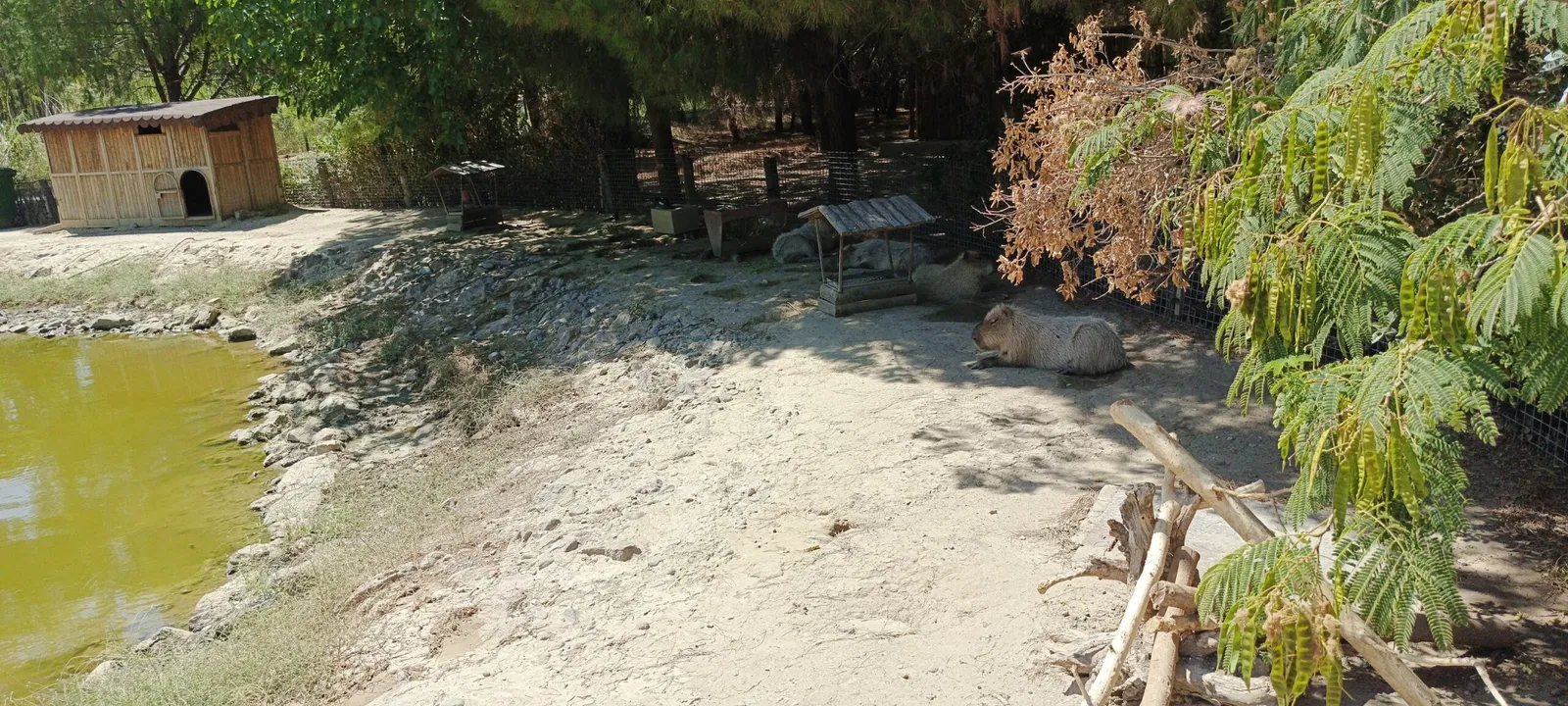 İzmir Wildlife Park