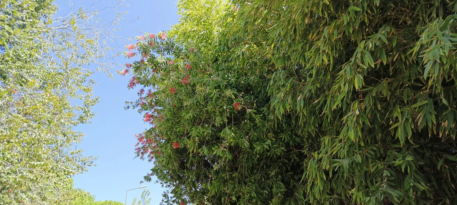 İzmir Wildlife Park