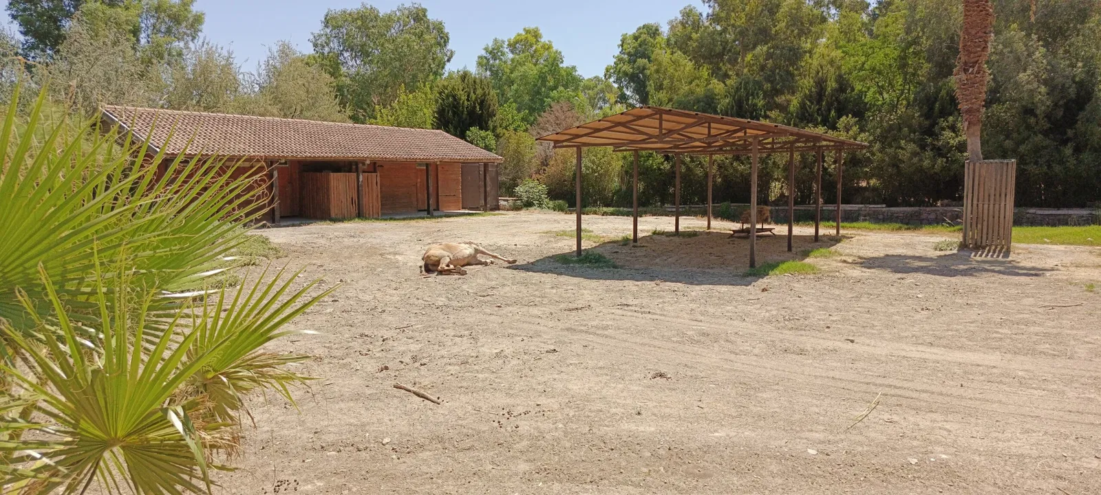 İzmir Wildlife Park