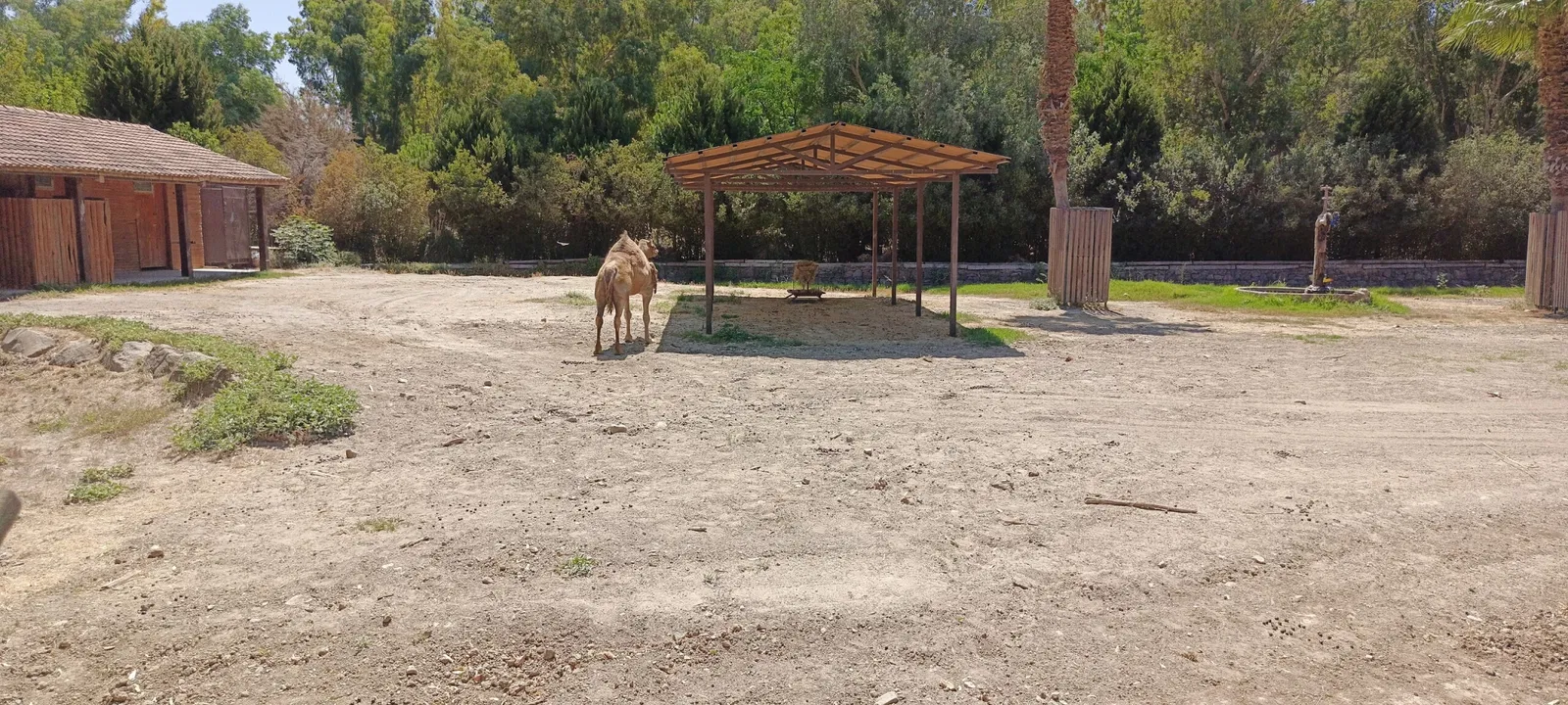 İzmir Wildlife Park