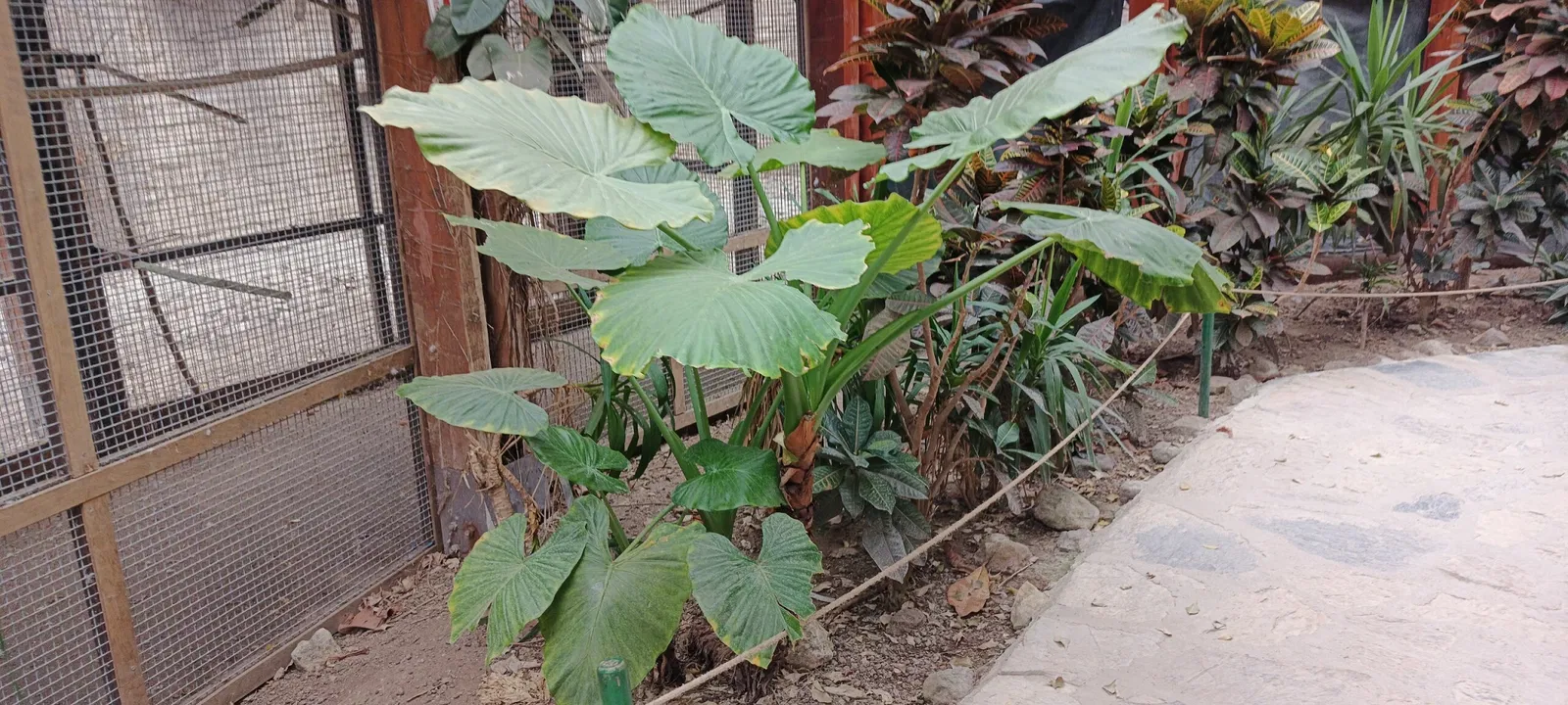 İzmir Wildlife Park