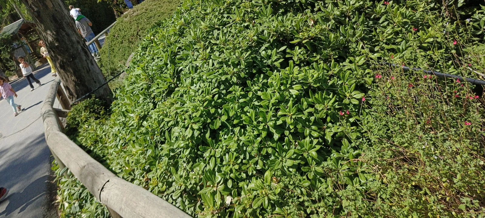 İzmir Wildlife Park