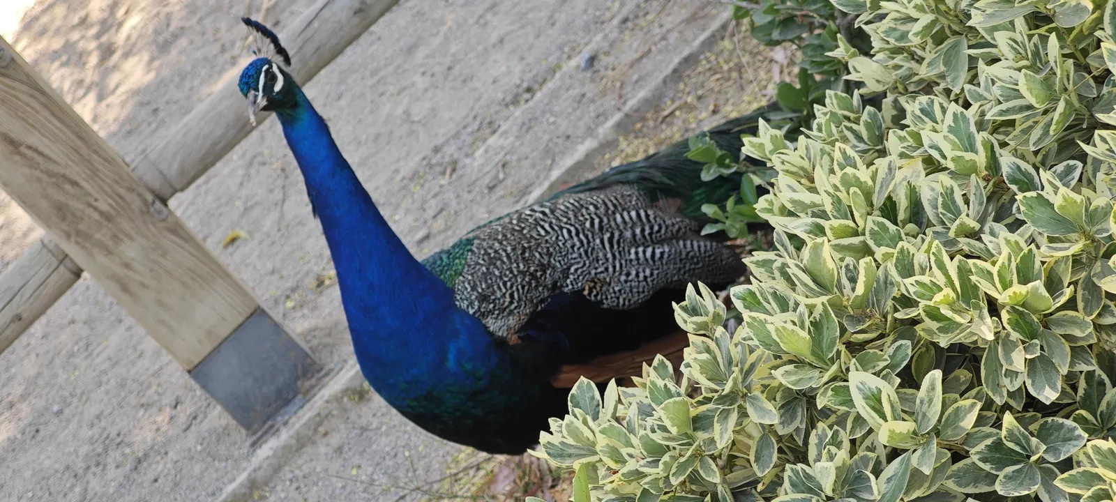 İzmir Wildlife Park