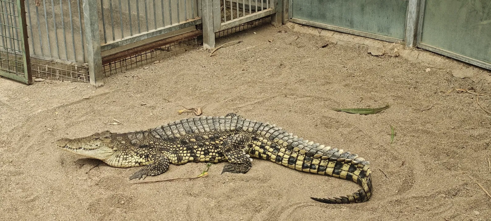 İzmir Wildlife Park