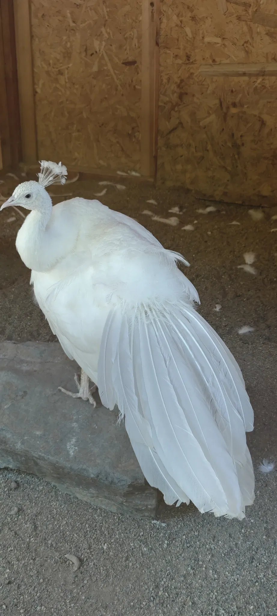 İzmir Wildlife Park