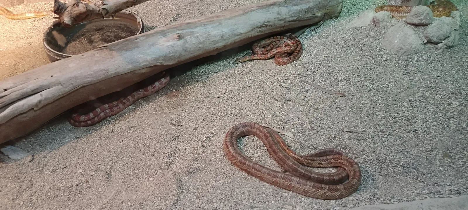 İzmir Wildlife Park