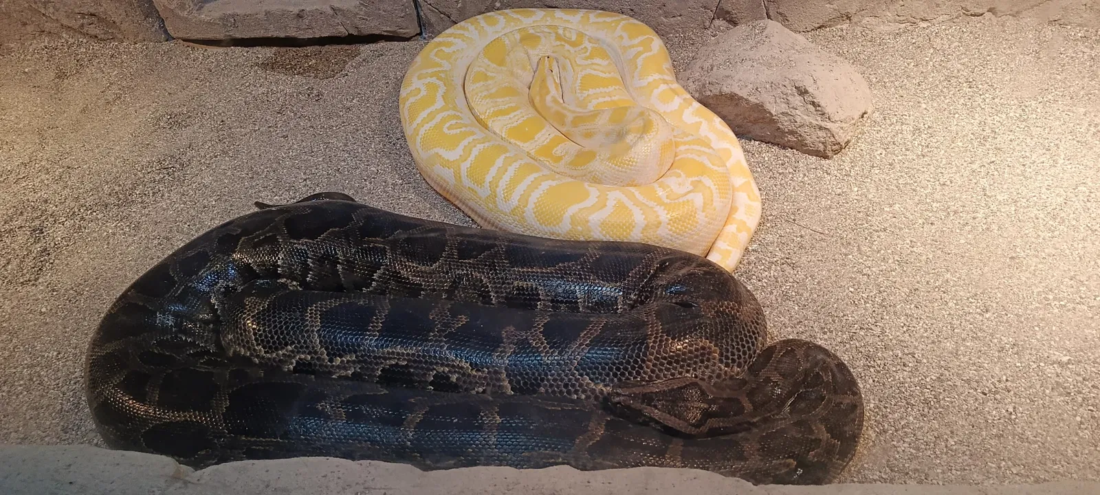 İzmir Wildlife Park