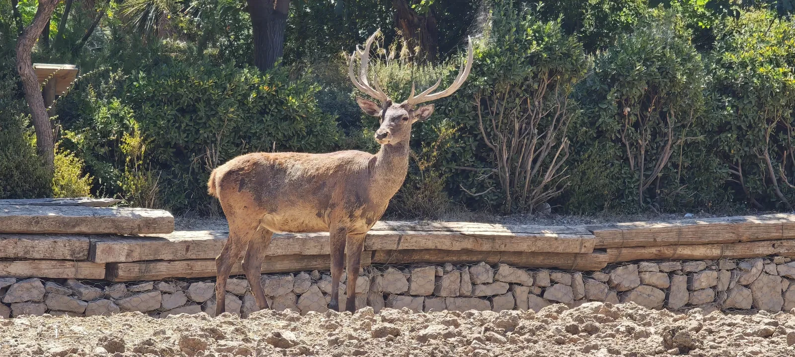 İzmir Wildlife Park