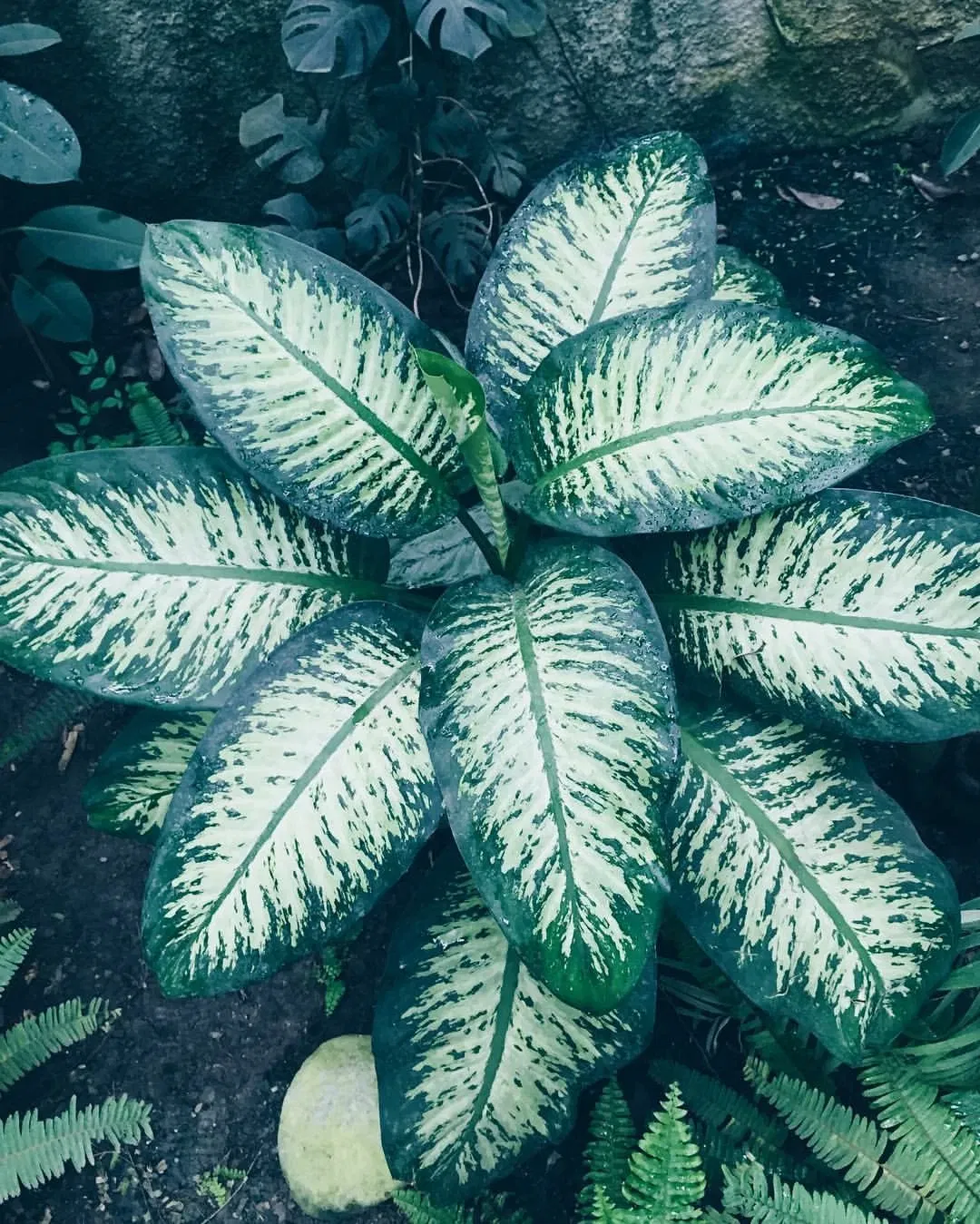 İzmir Wildlife Park