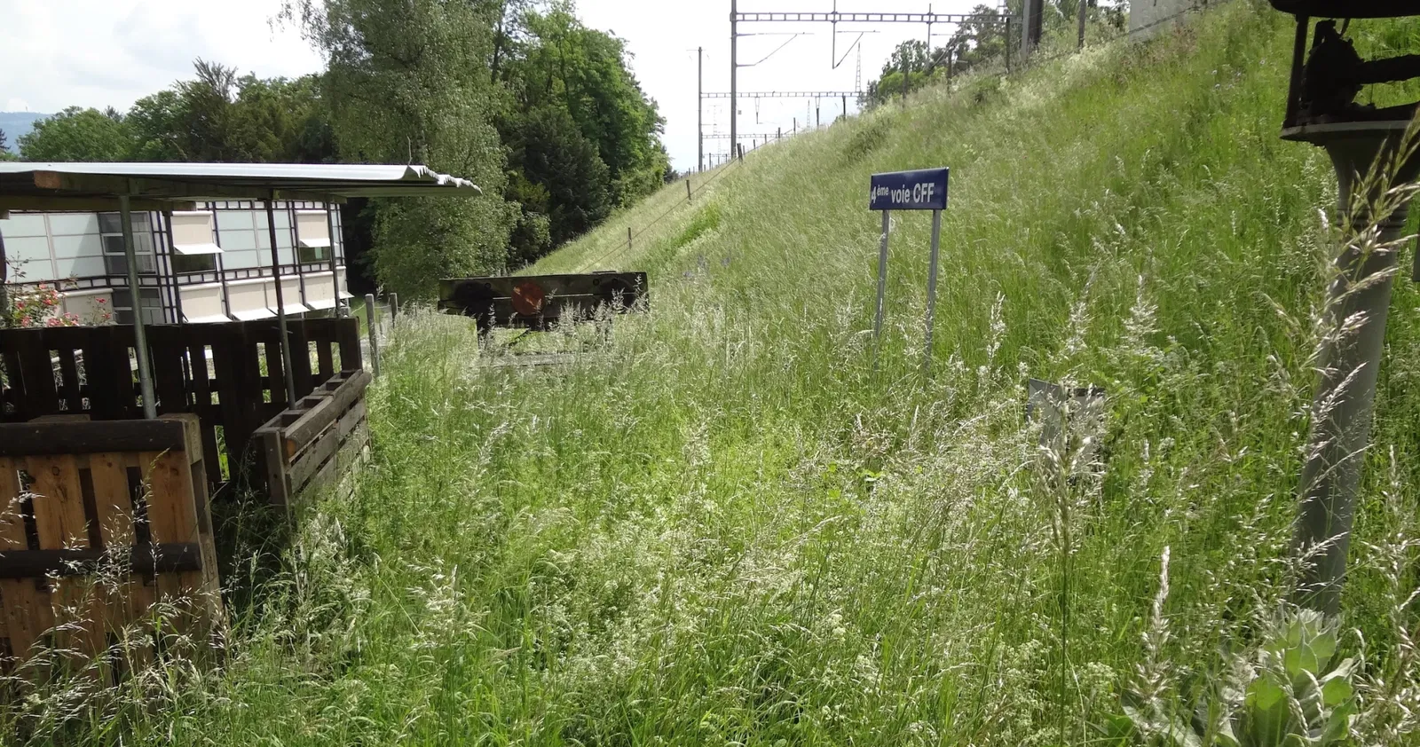 Conservatorio y jardín botánico de Ginebra