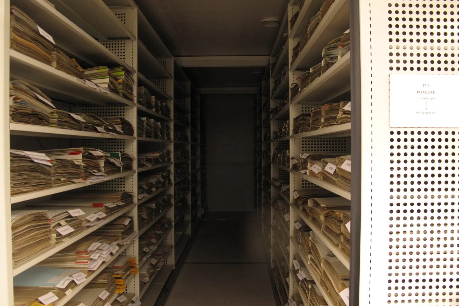 Conservatorio y jardín botánico de Ginebra