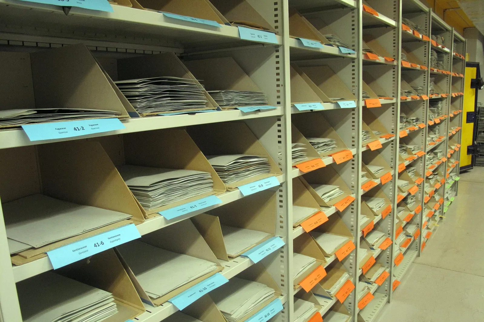 Conservatoire et Jardin botaniques de Genève