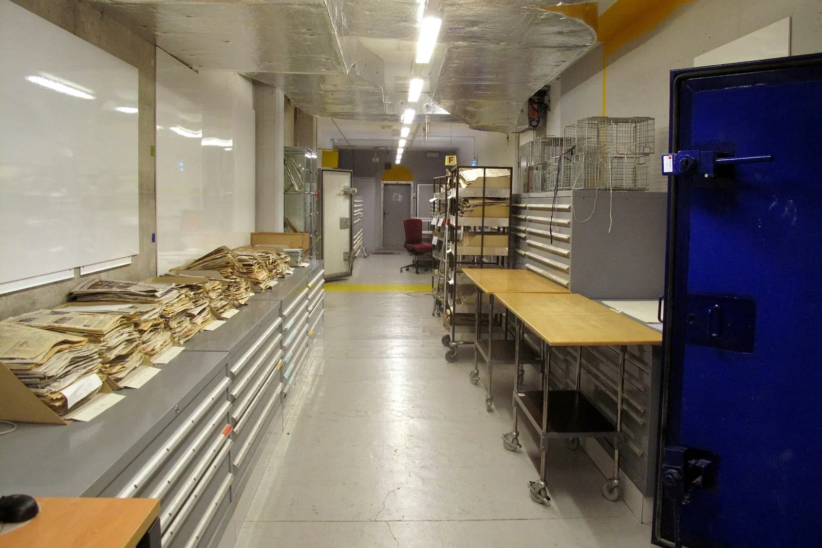 Conservatorio y jardín botánico de Ginebra