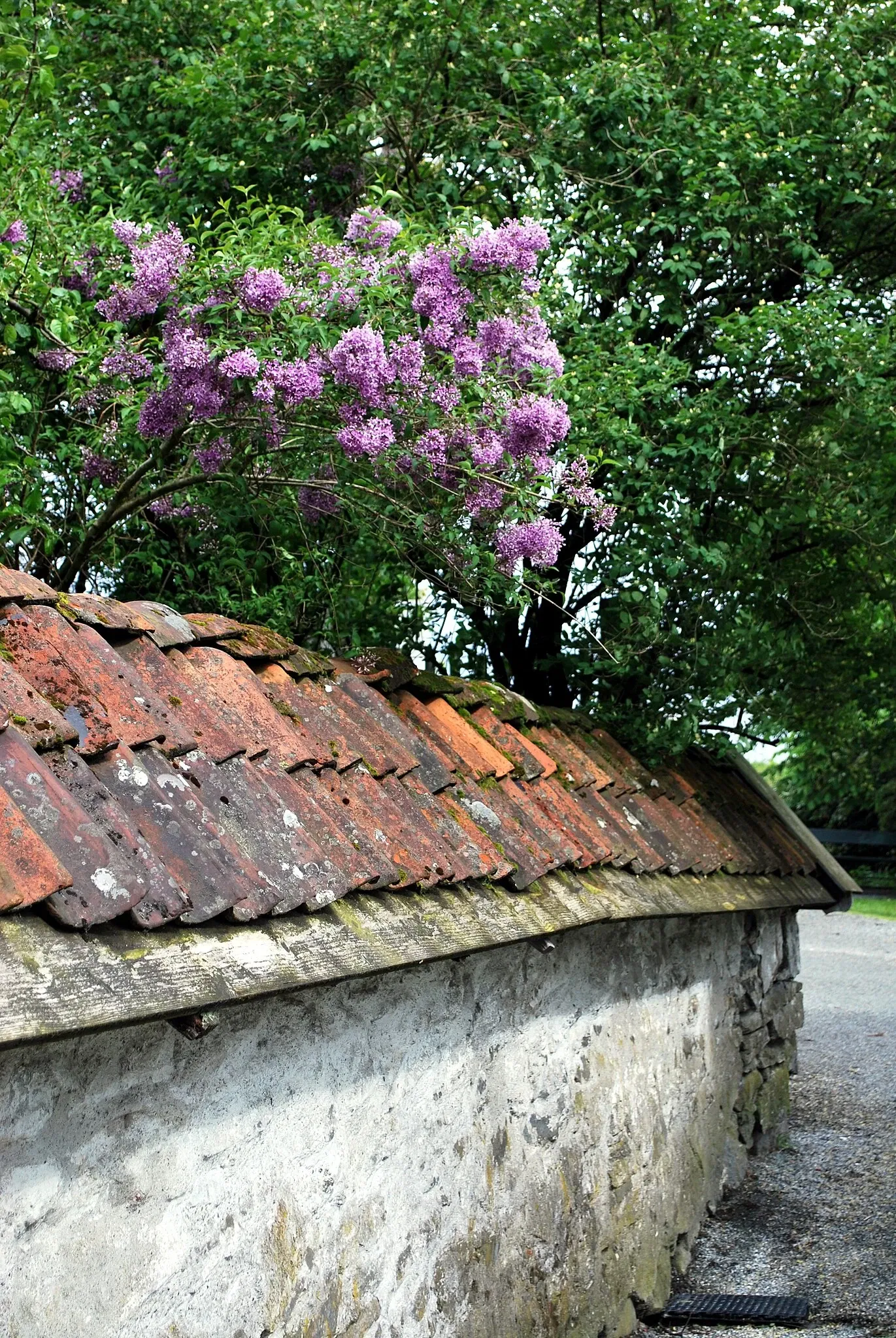 Herrenhaus Damsgård