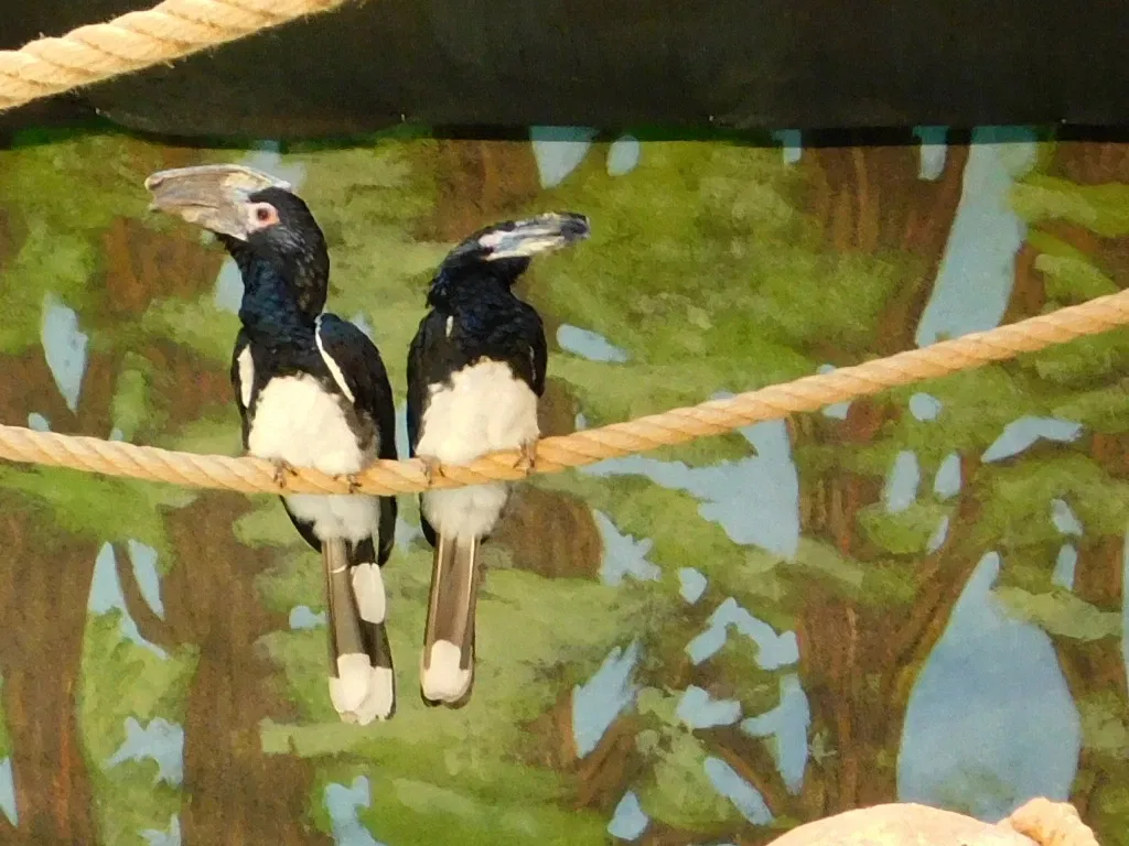 Eskişehir Metropolitan Municipality Zoo