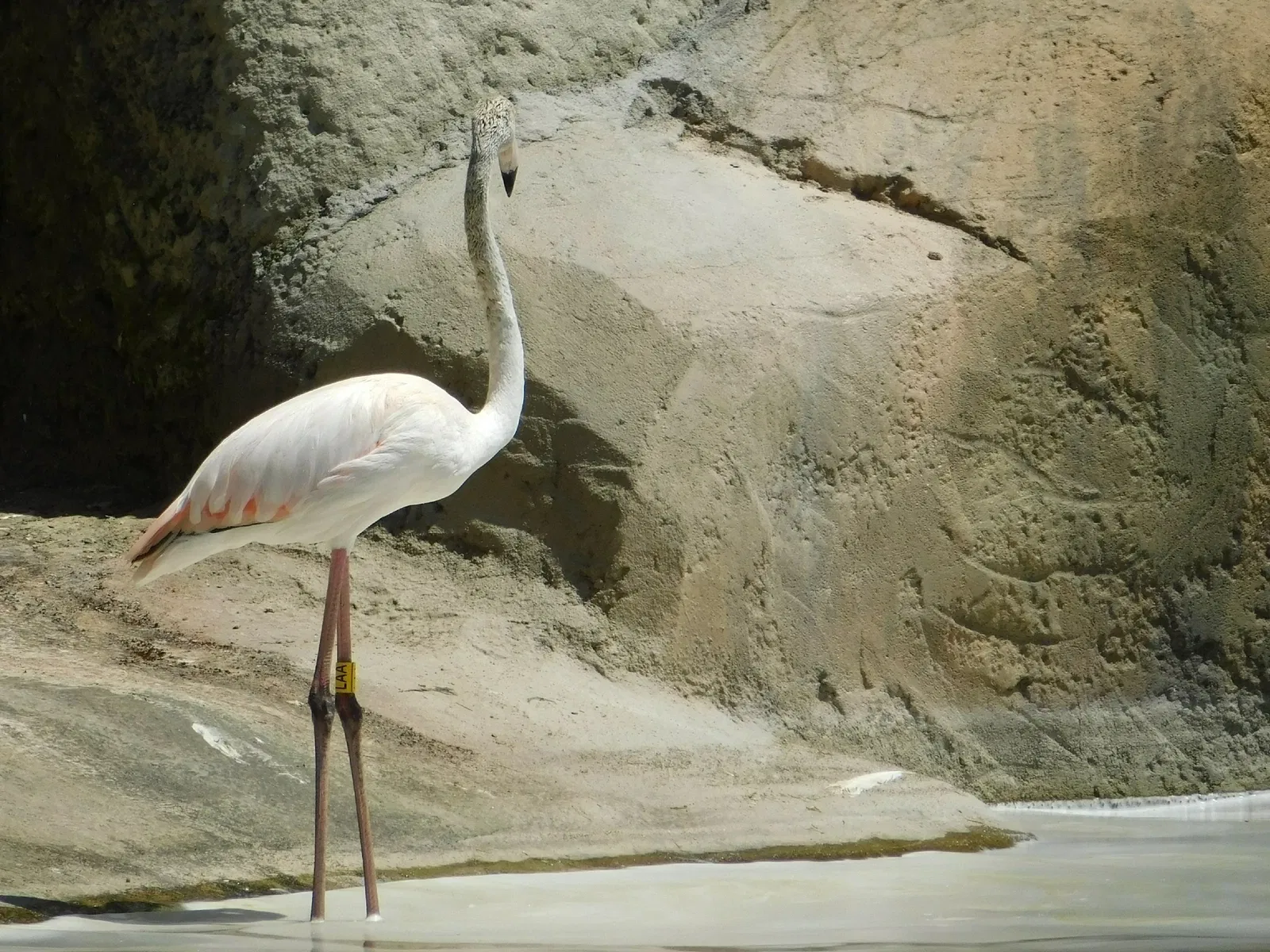 Eskişehir Metropolitan Municipality Zoo