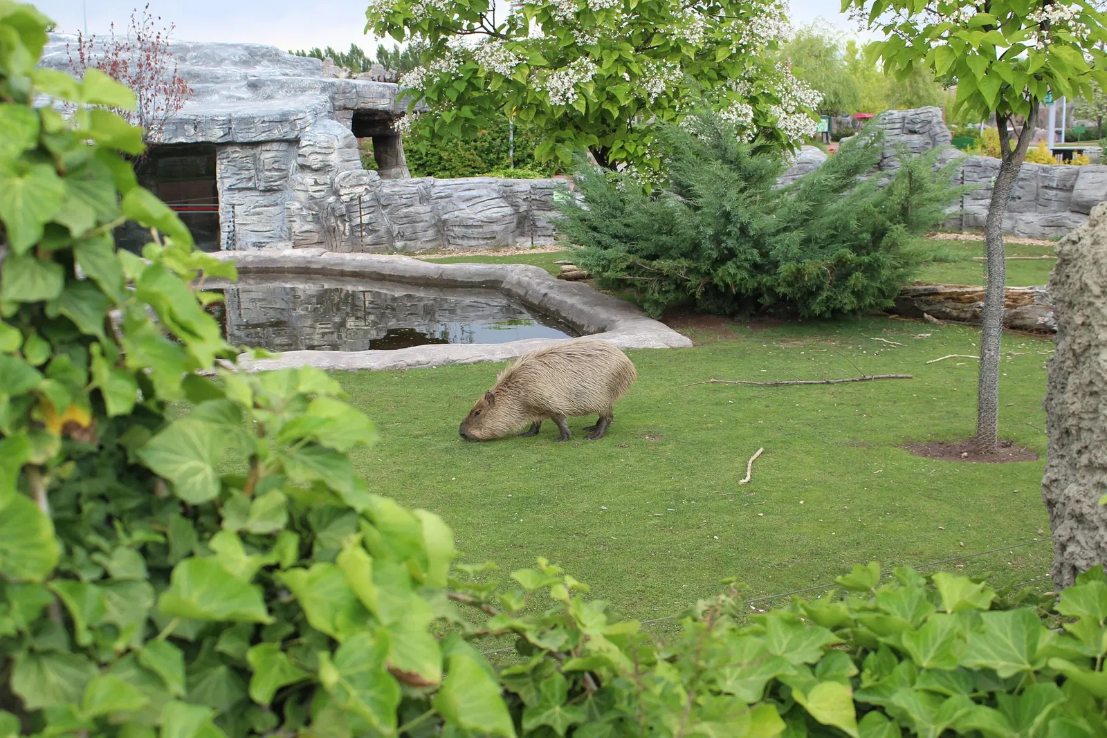 Eskişehir Metropolitan Municipality Zoo