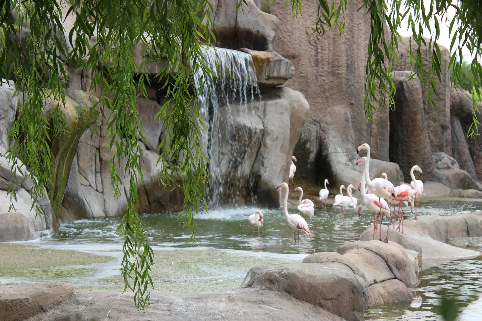Eskişehir Metropolitan Municipality Zoo
