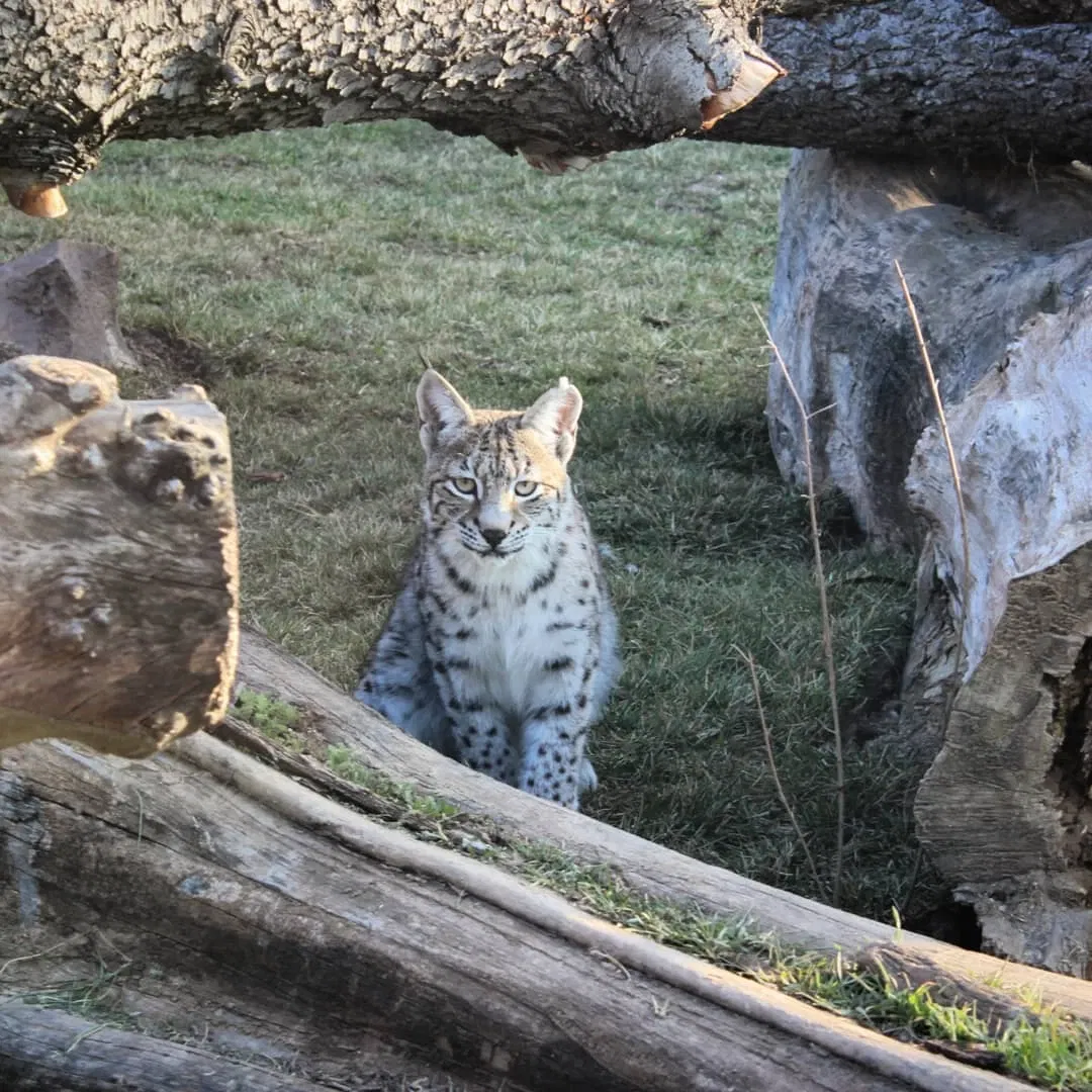 Eskişehir Metropolitan Municipality Zoo