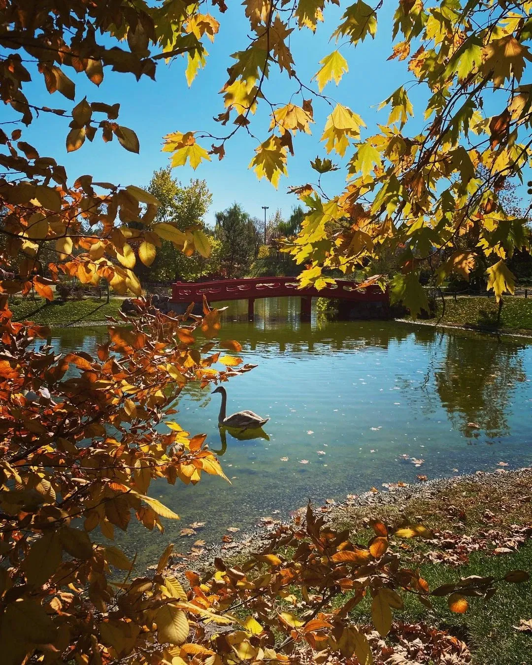 Eskişehir Metropolitan Municipality Zoo