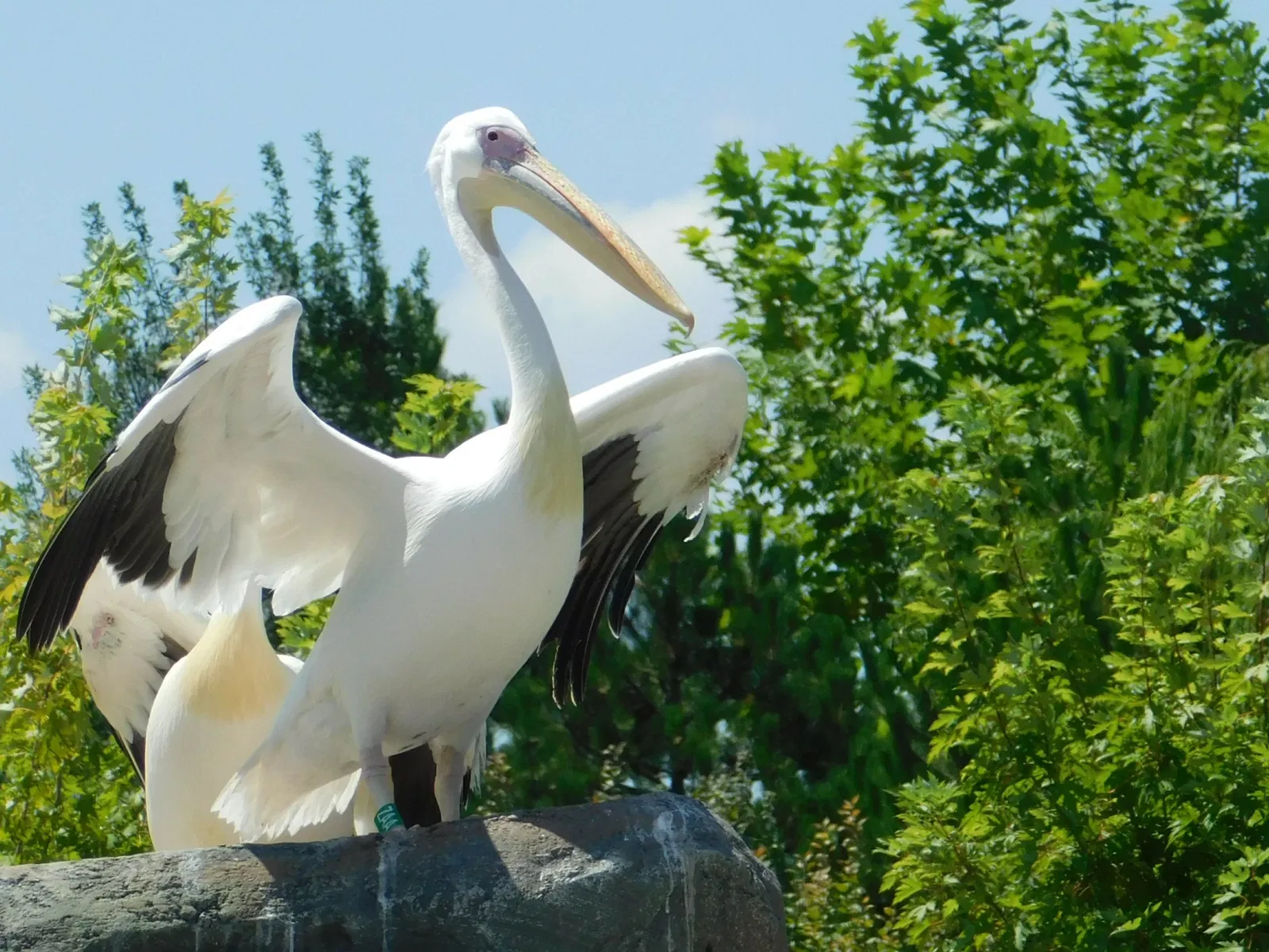 Eskişehir Metropolitan Municipality Zoo