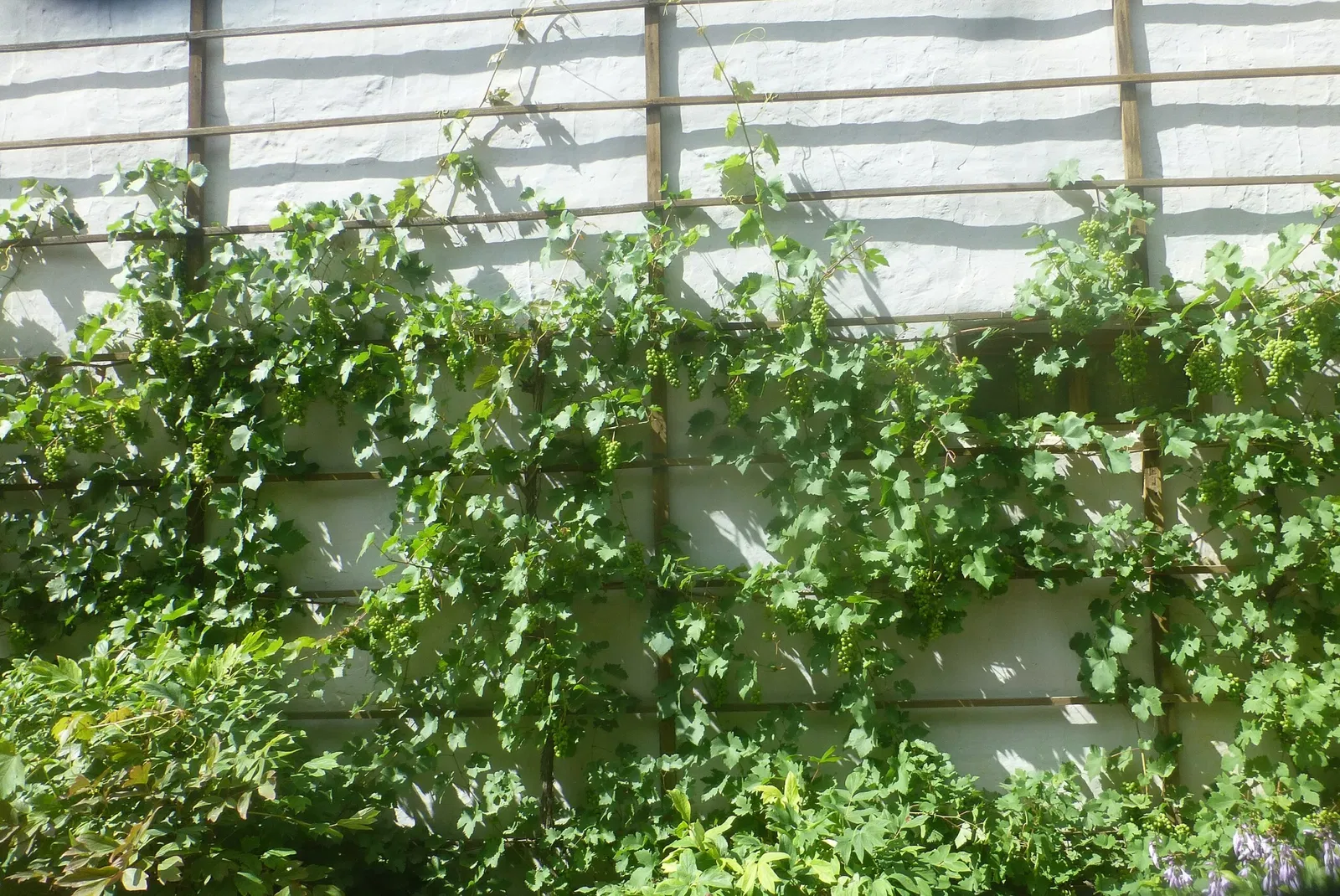 Casa-giardino di Goethe