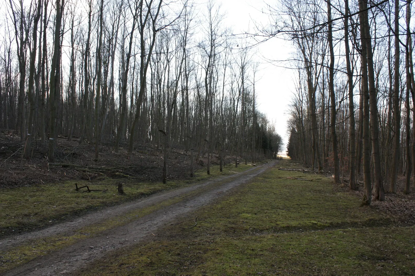 Campo di concentramento di Buchenwald