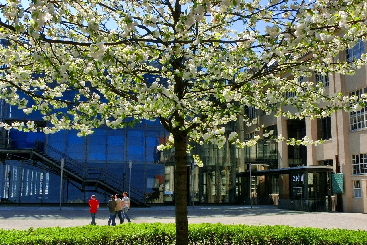 Zentrum für Kunst und Medien