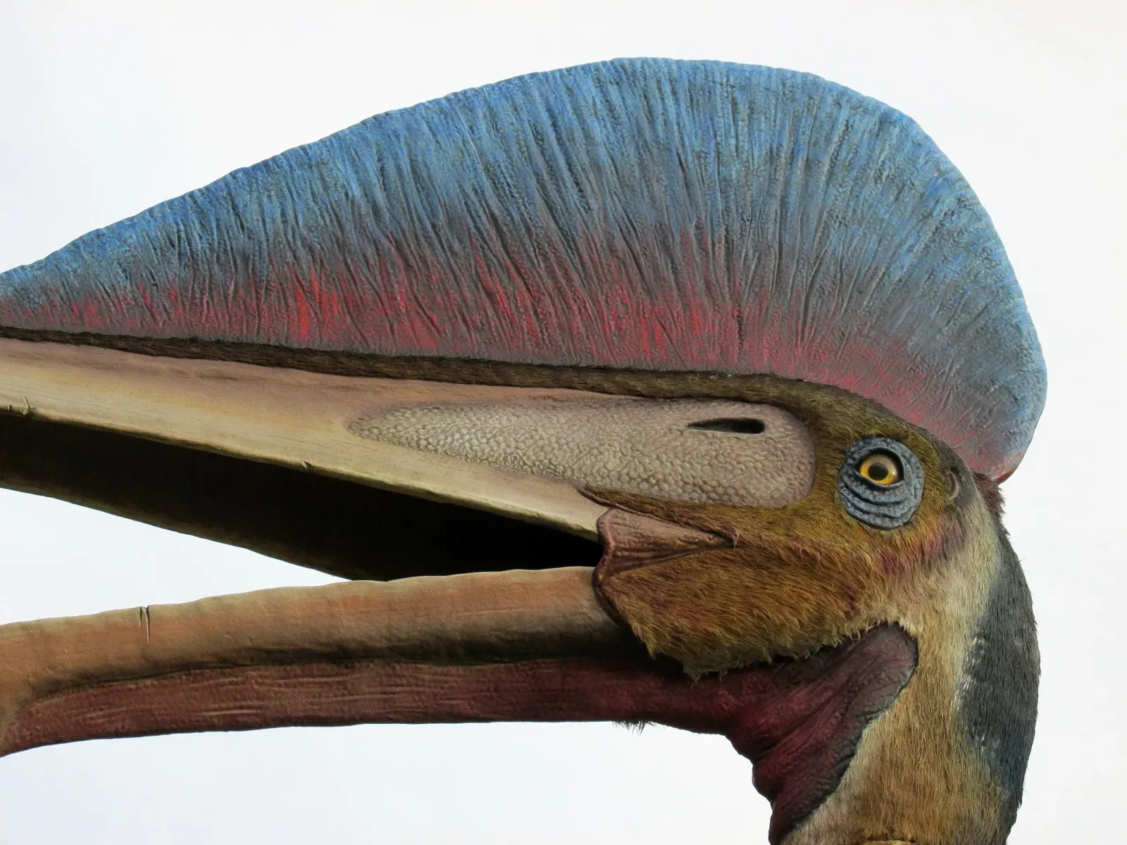 State Museum of Natural History Karlsruhe