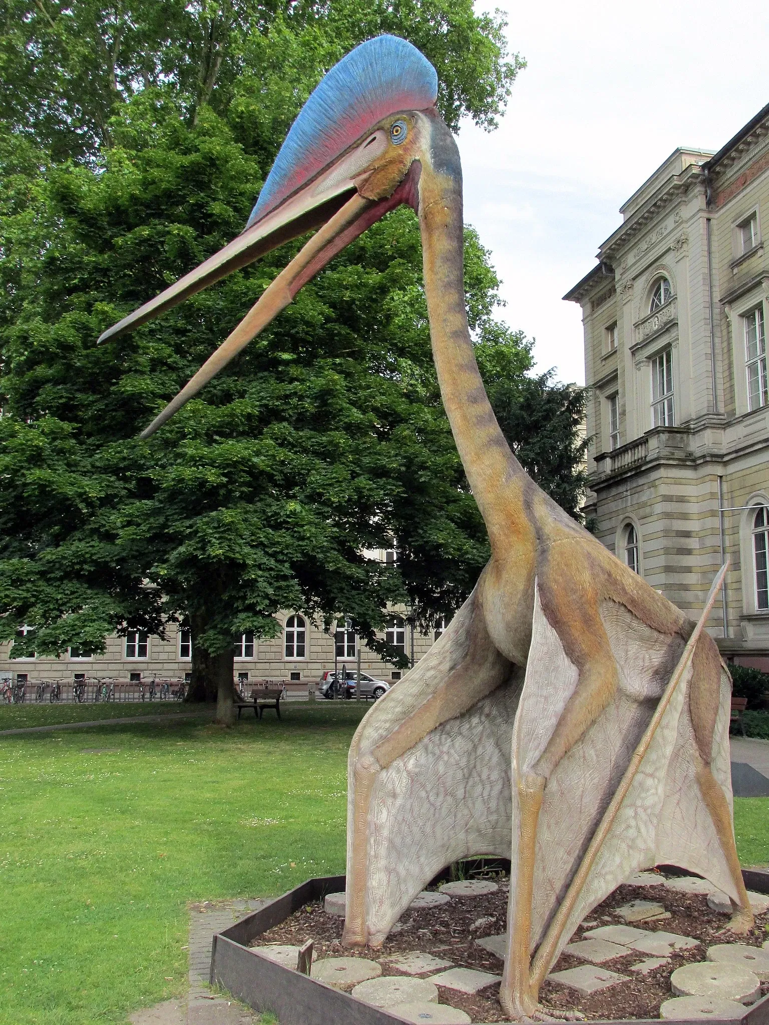 Staatliches Museum für Naturkunde
