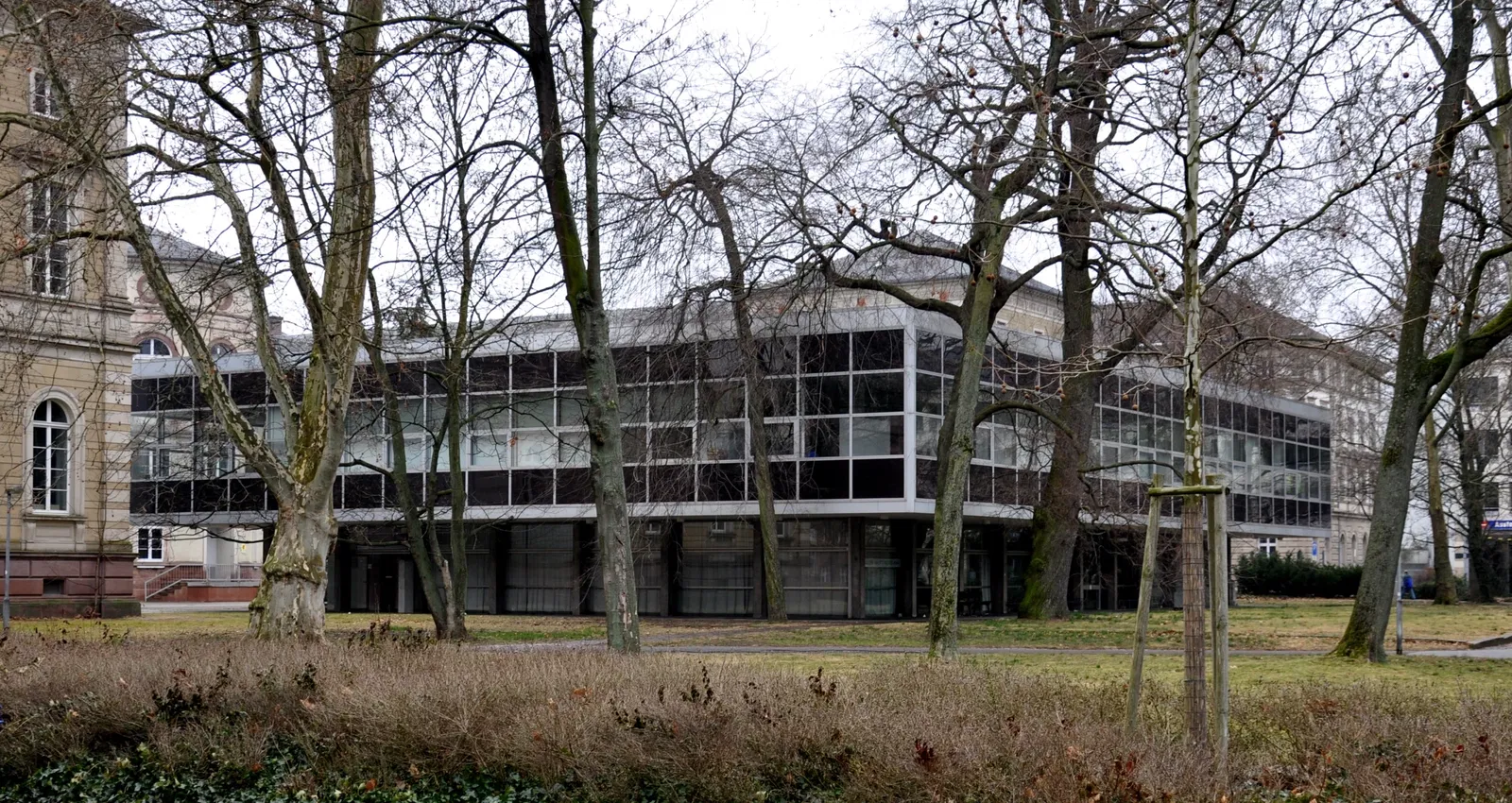 Staatliches Museum für Naturkunde