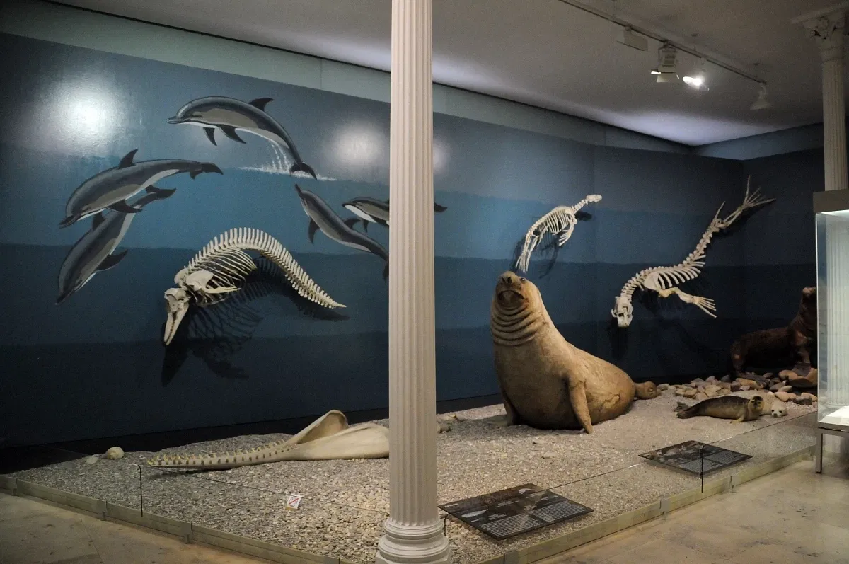 State Museum of Natural History Karlsruhe