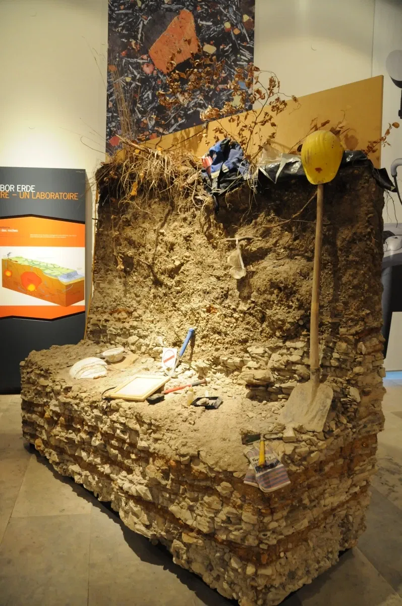 Staatliches Museum für Naturkunde