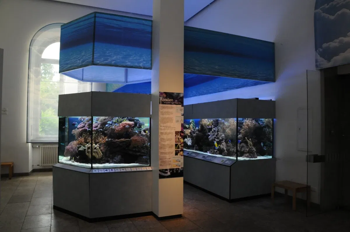 State Museum of Natural History Karlsruhe