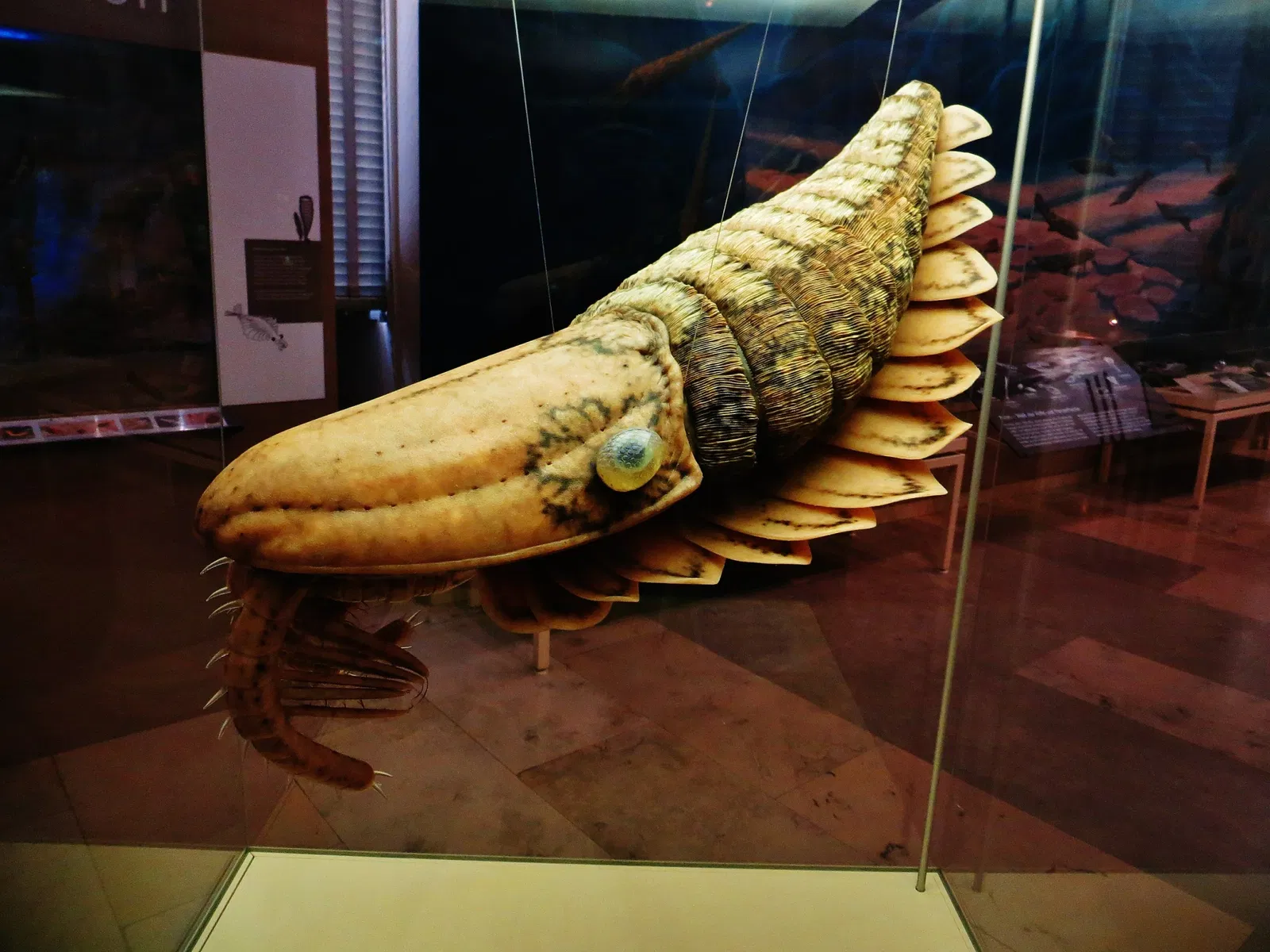 State Museum of Natural History Karlsruhe