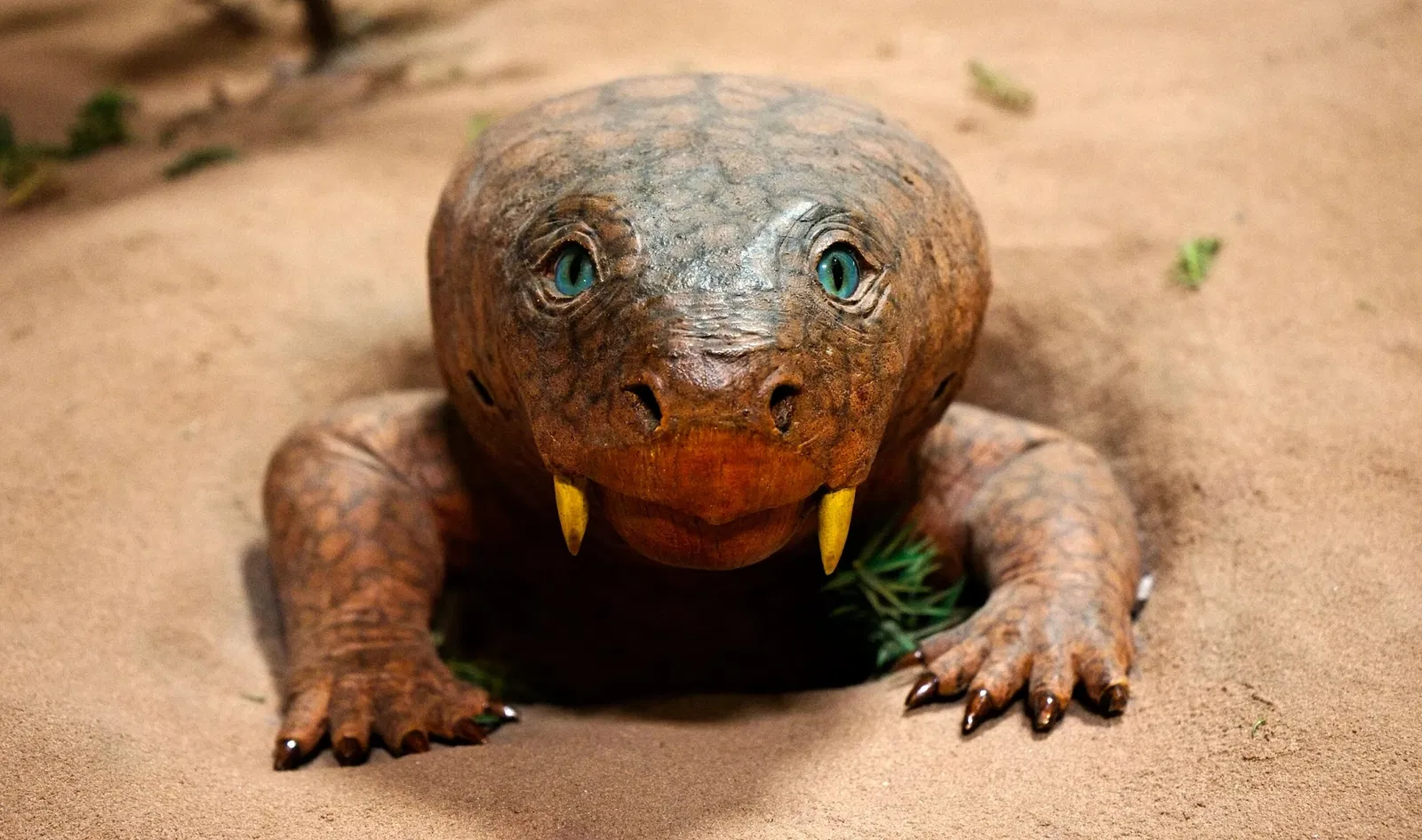 Staatliches Museum für Naturkunde