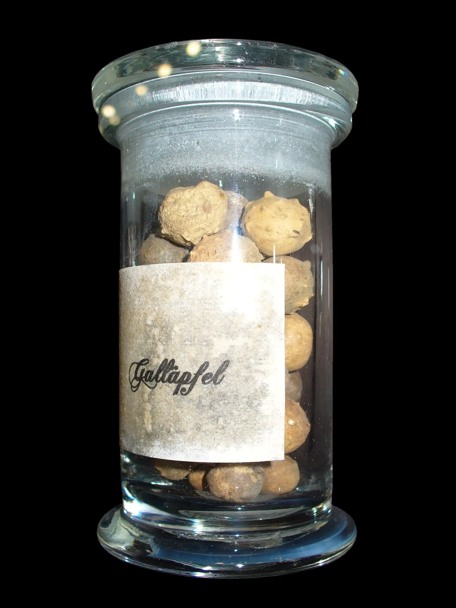 State Museum of Natural History Karlsruhe