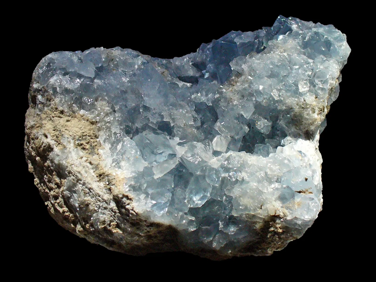 State Museum of Natural History Karlsruhe