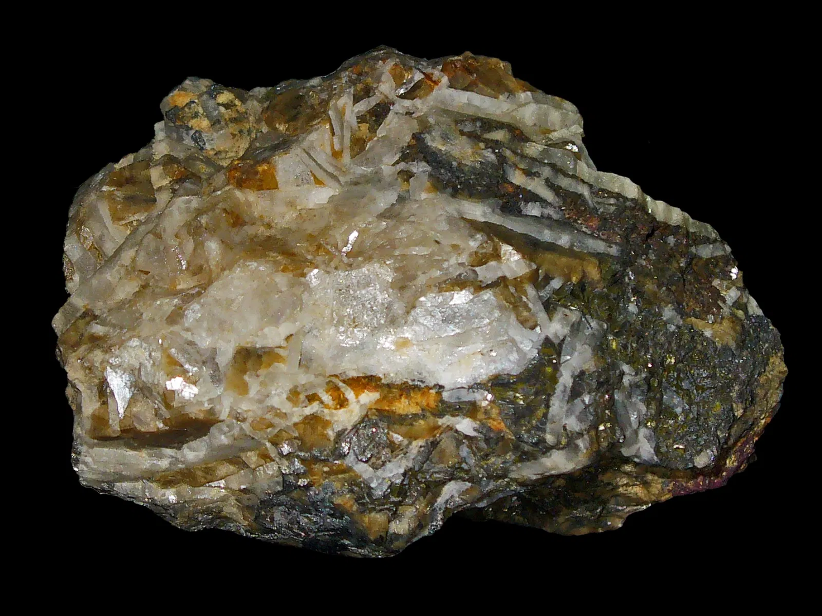 Staatliches Museum für Naturkunde