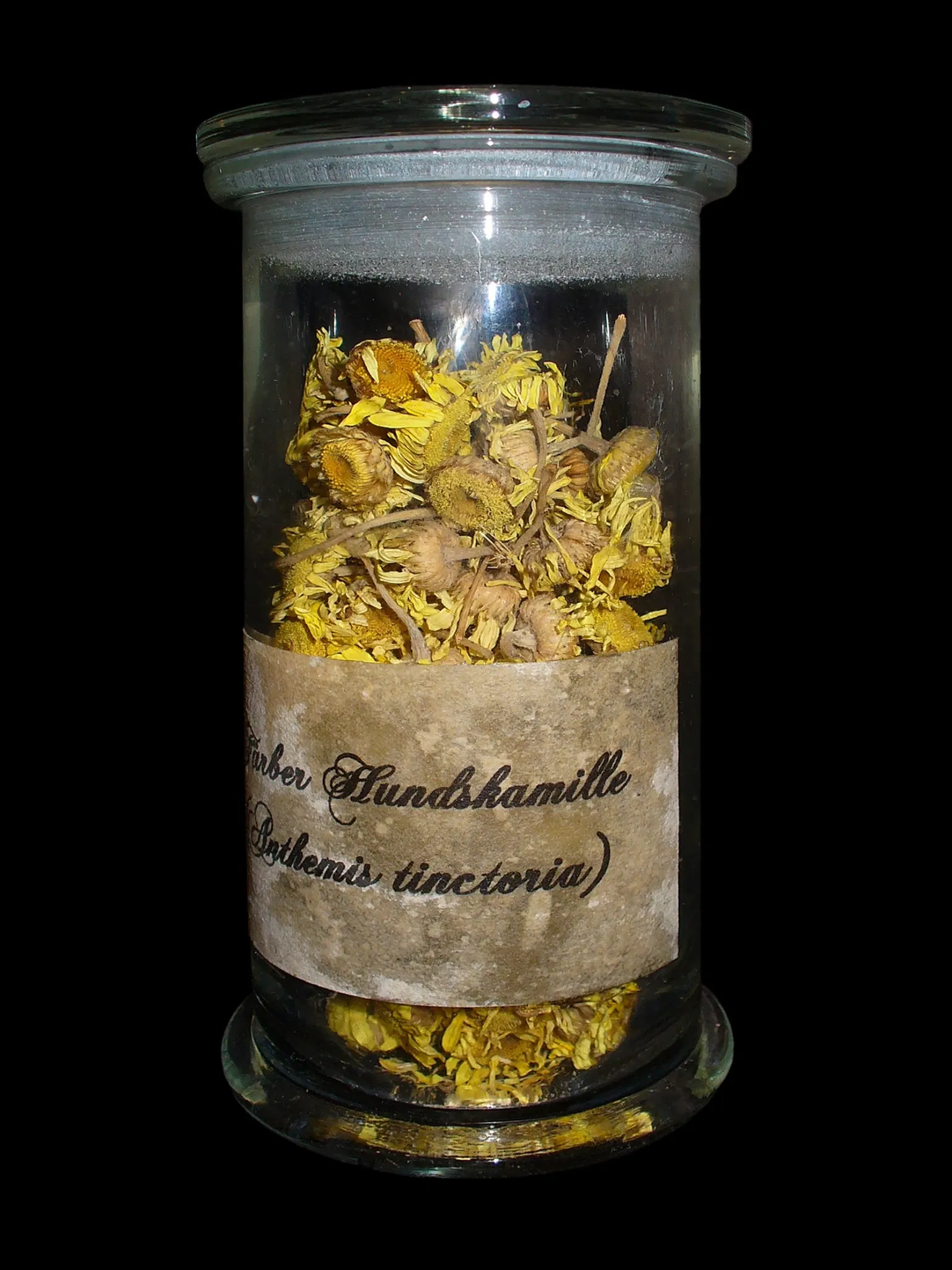 Staatliches Museum für Naturkunde