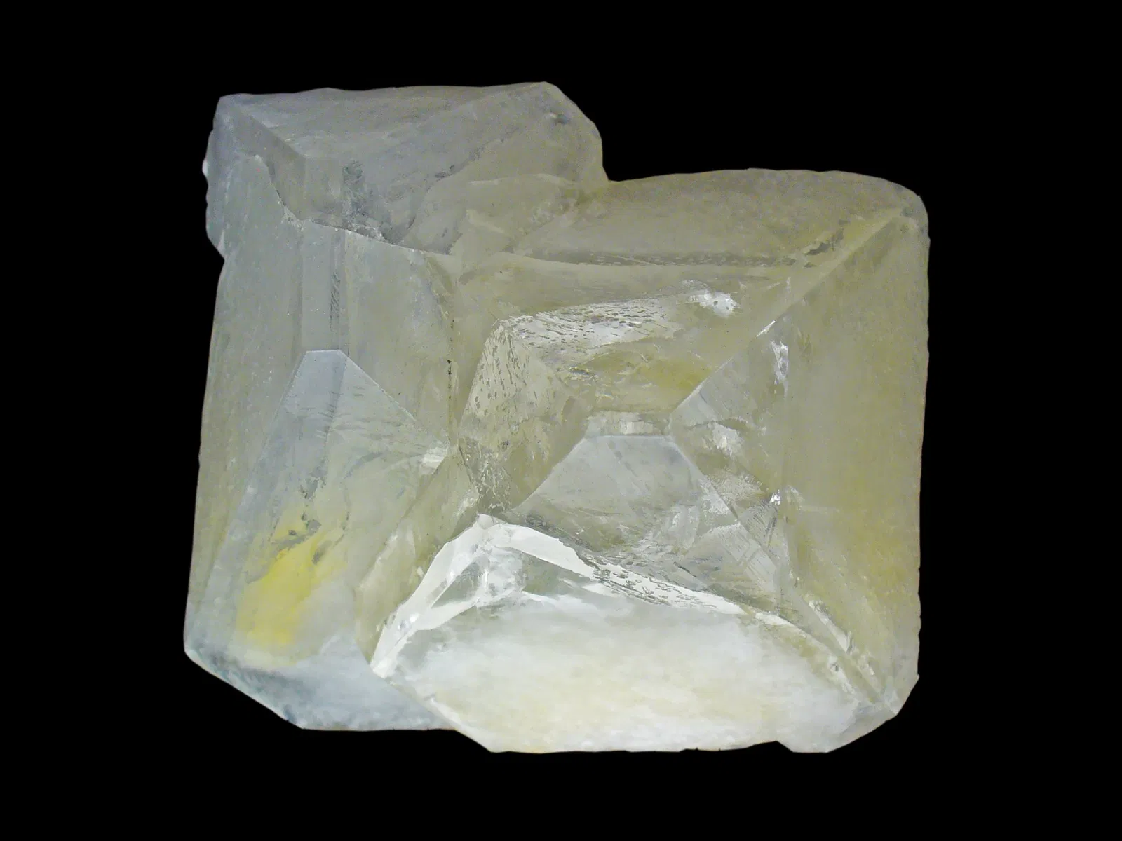 Staatliches Museum für Naturkunde