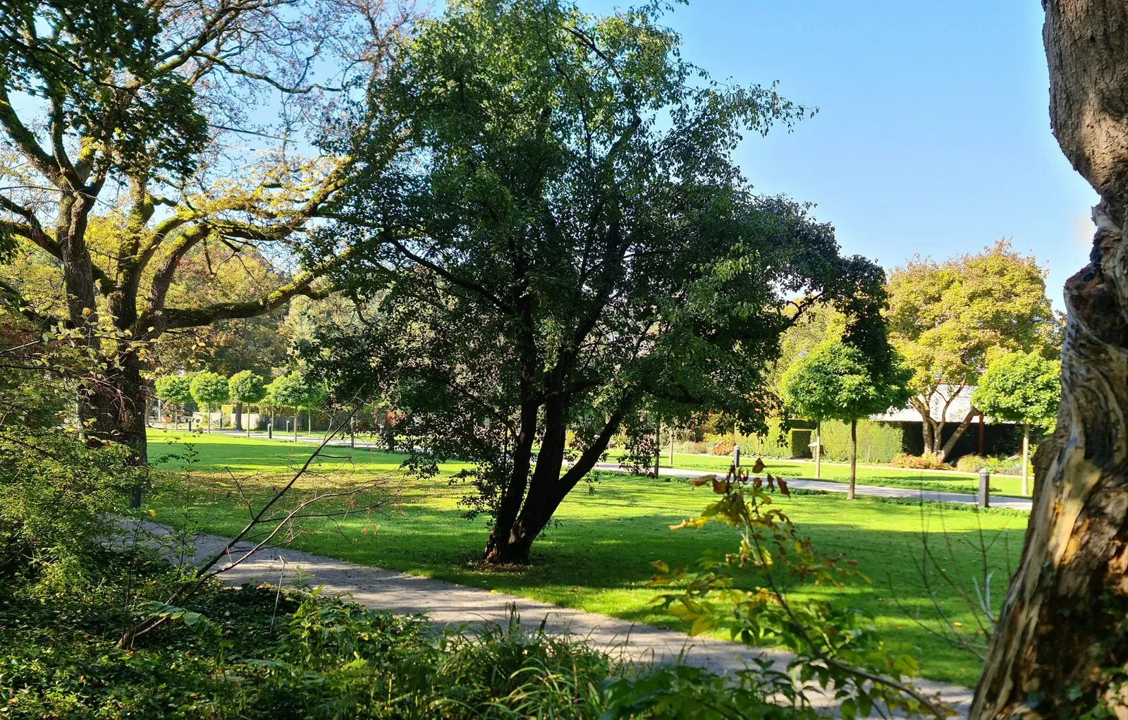 Jardín botánico Augsburgo