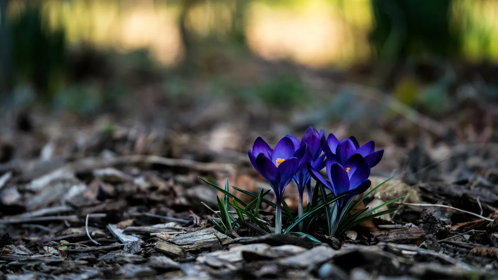 Botanischer Garten Augsburg