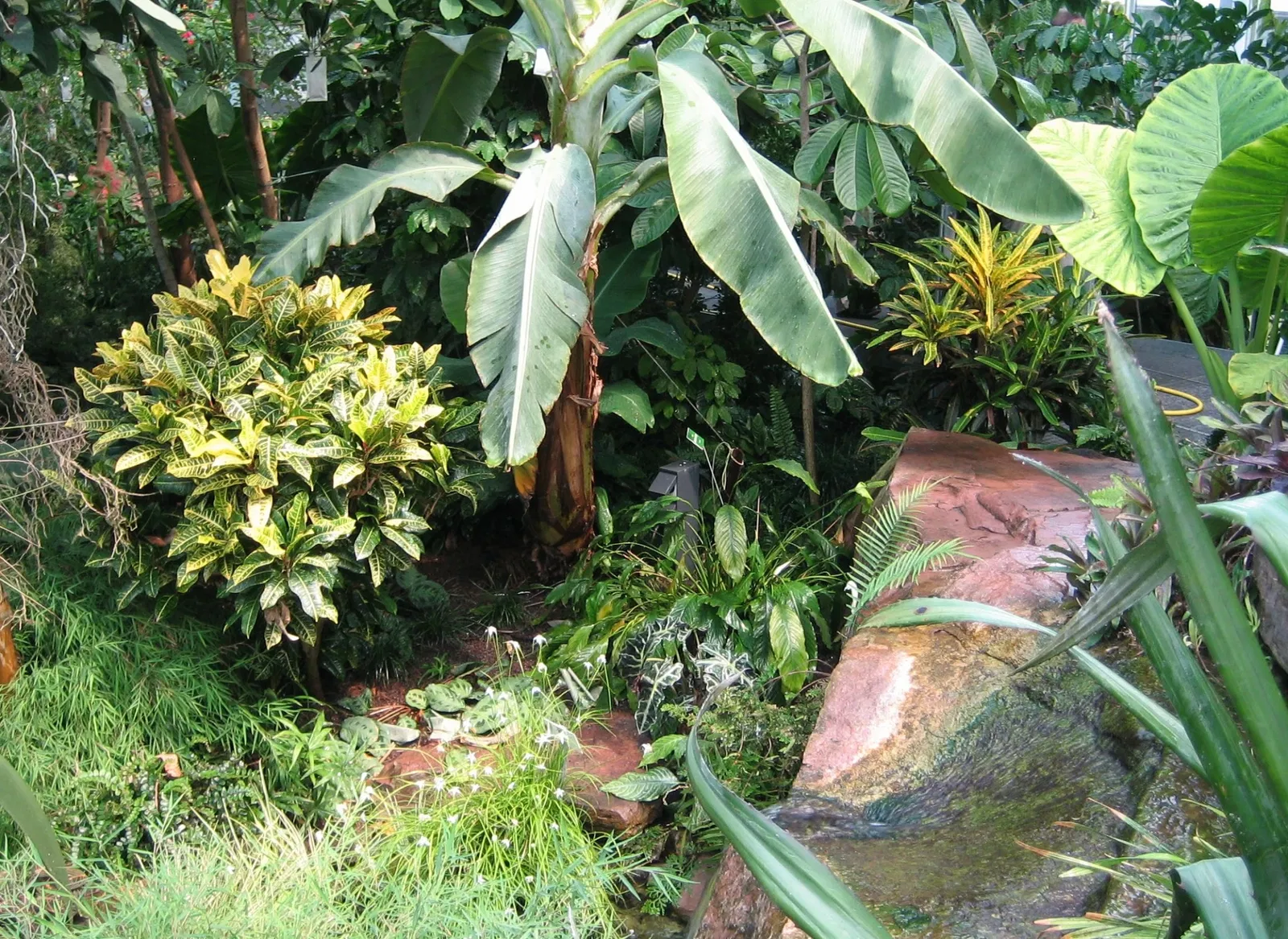 Botanischer Garten Augsburg