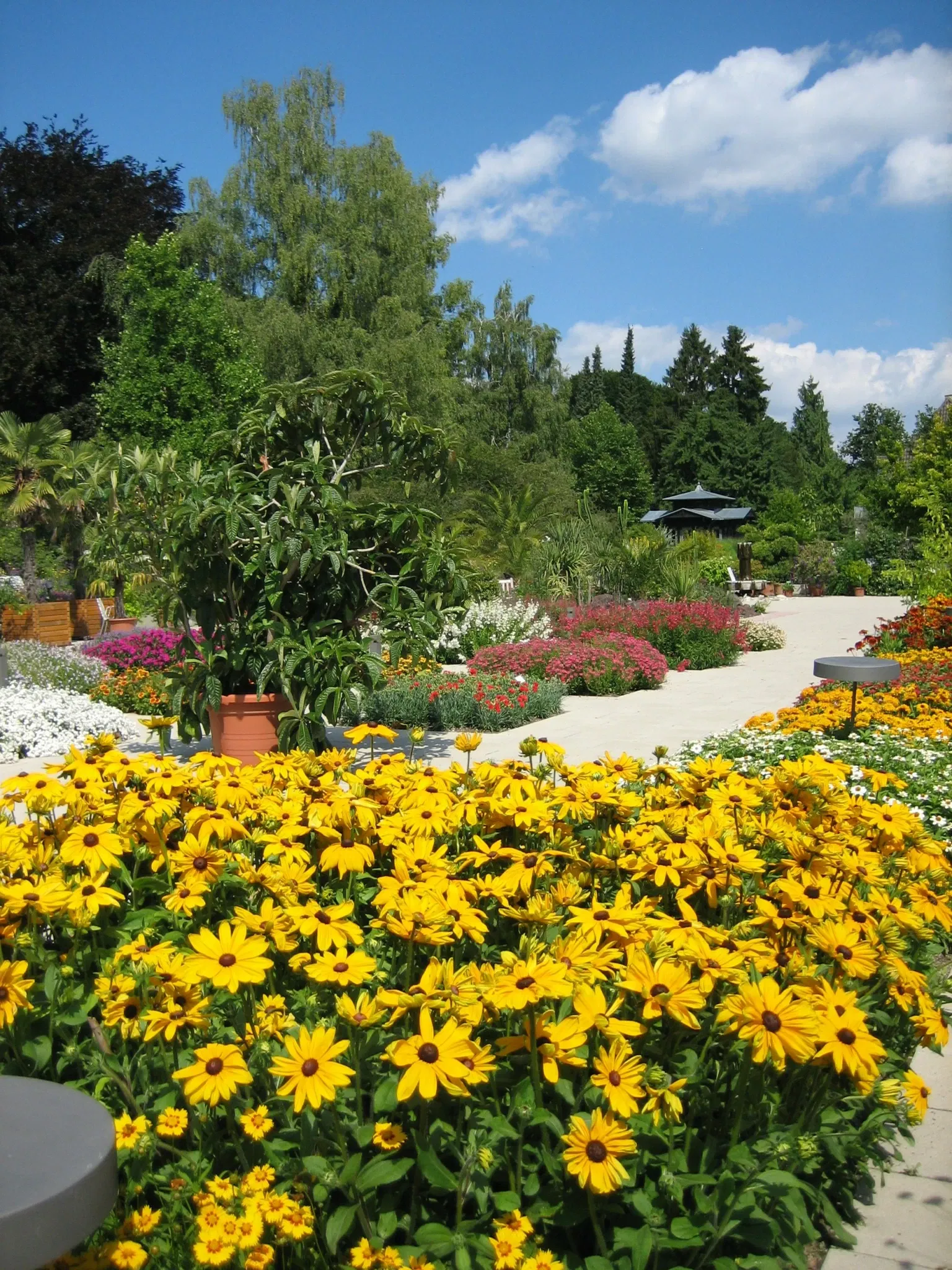 Botanical Garden Augsburg
