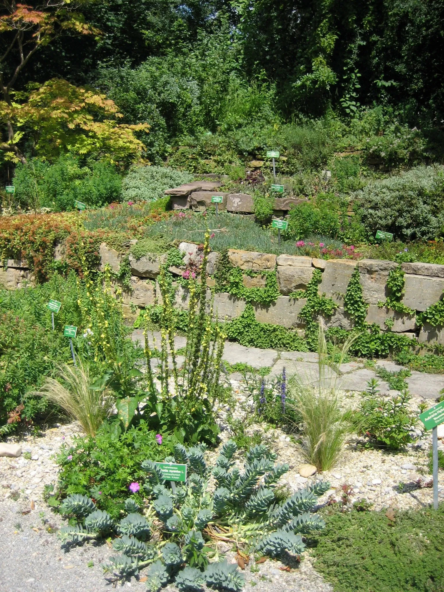 Botanical Garden Augsburg